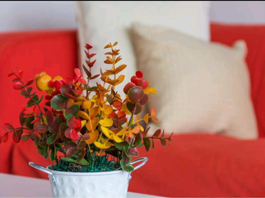 Apartamento Playamar توريمولينوس المظهر الخارجي الصورة
